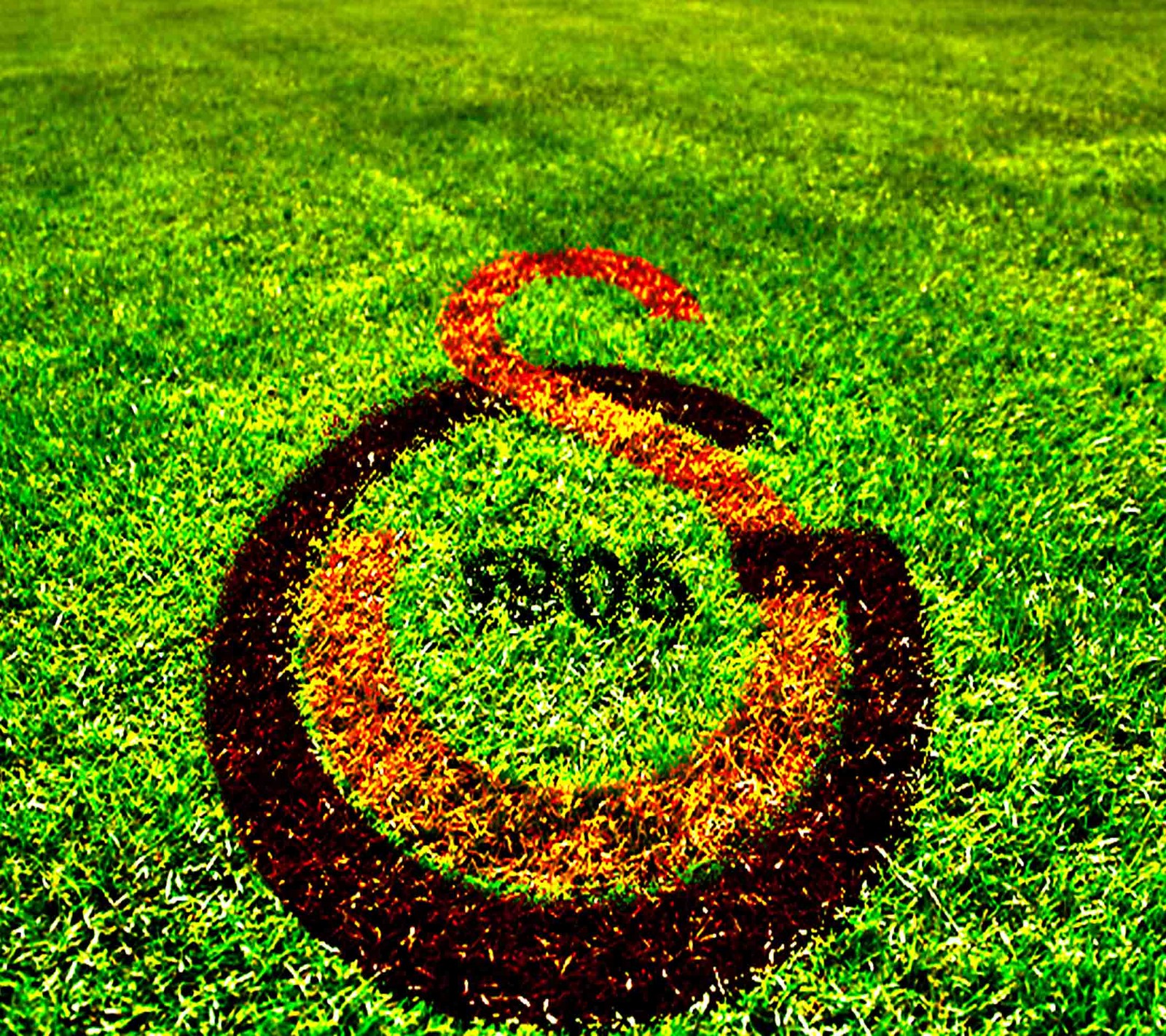 Grass with a circle drawn in it on a field (aslan, black, cimbom, galatasaray, kirmizi)