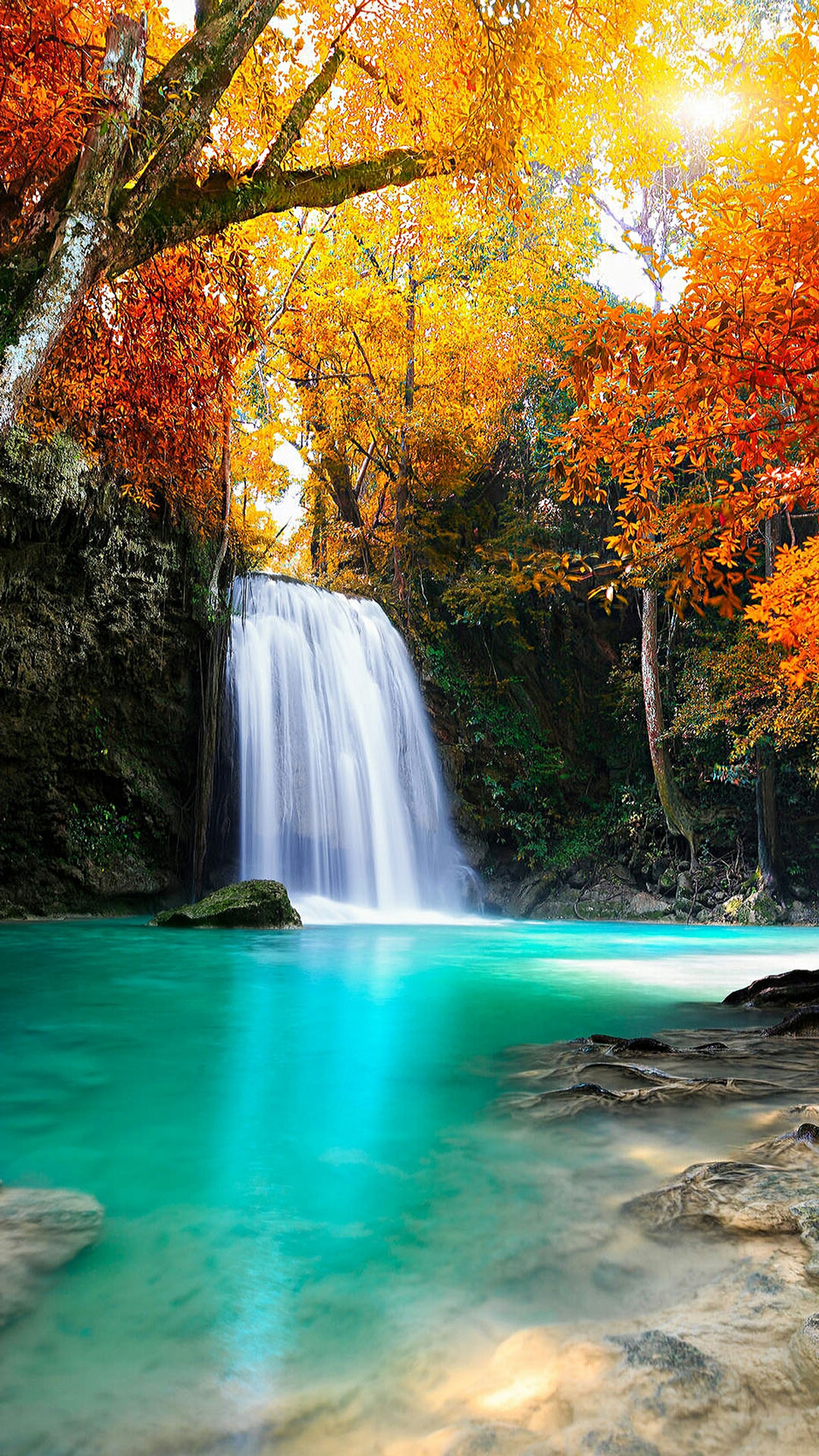 Una cascada en medio de un bosque con hojas de color naranja brillante (otoño, naturaleza, rio, árbol, agua)