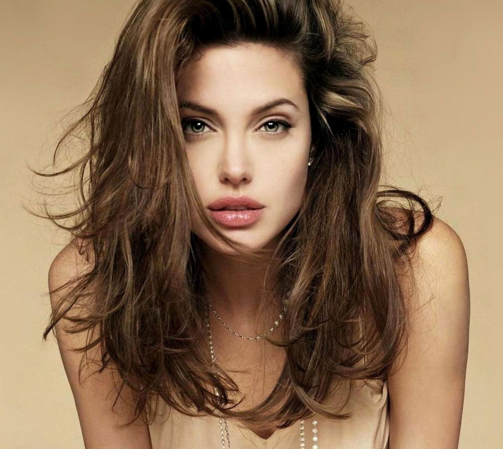 Un gros plan d'une femme avec de longs cheveux et un collier (actrice, angelina, jolie)