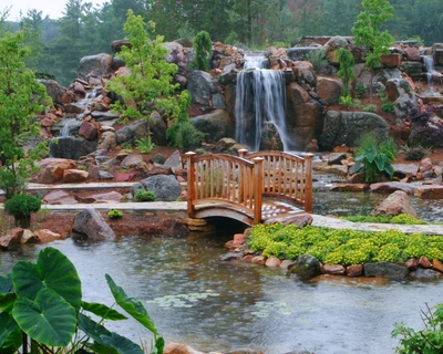 beautiful, bridge, endearing, path, pond