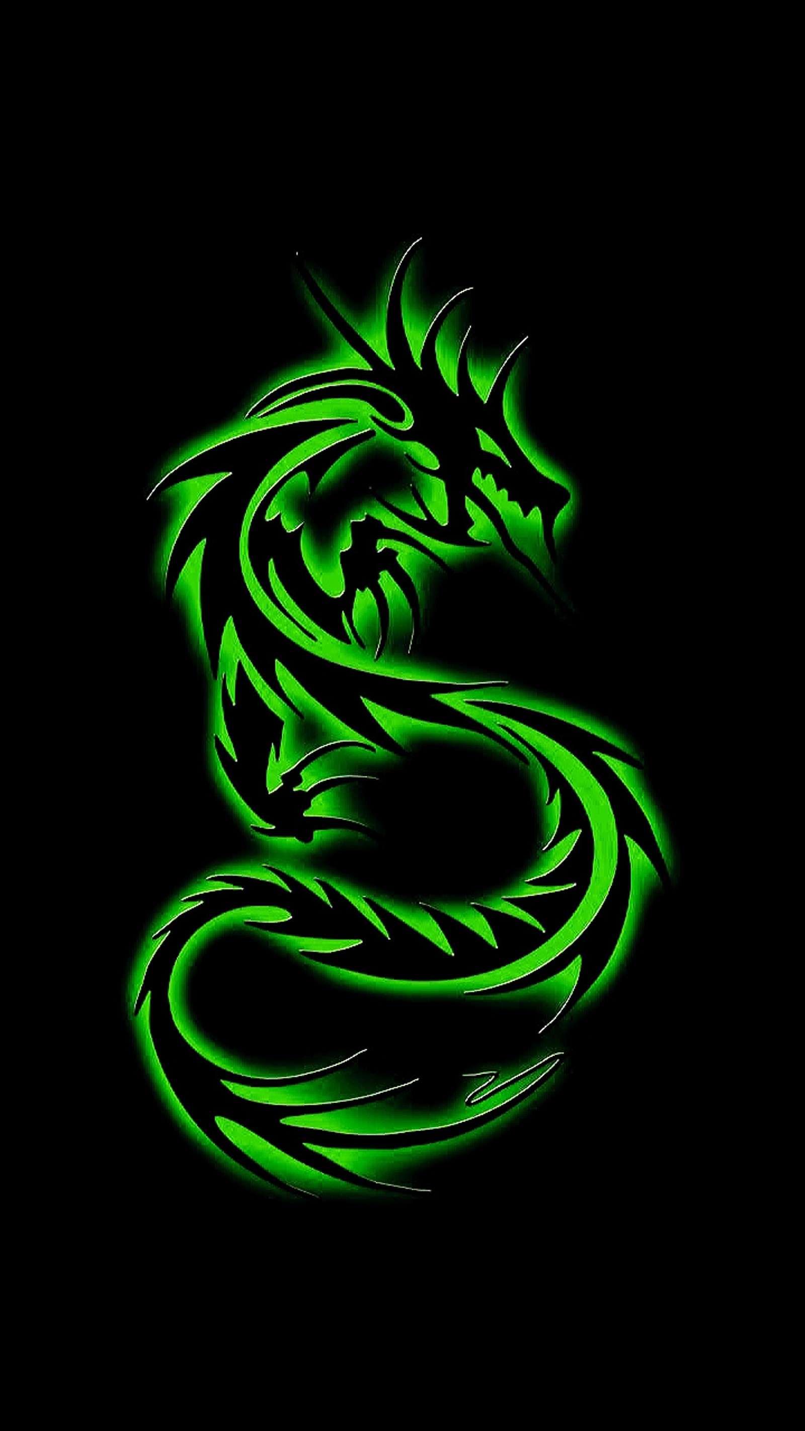 dragon, green, neon Download Wallpaper