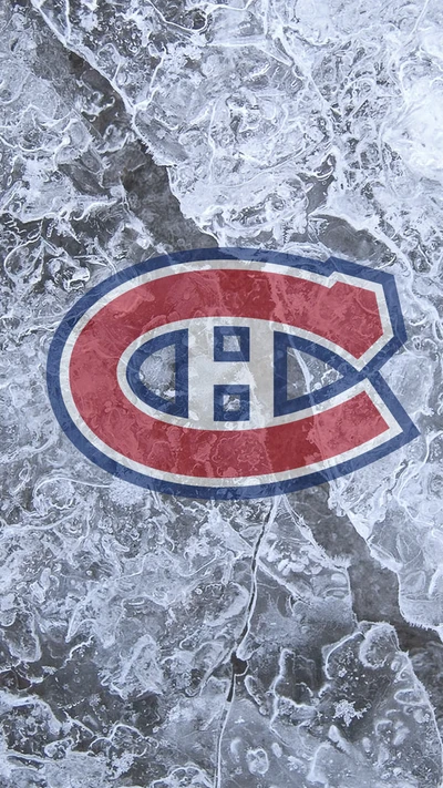 habs, canadienses de montreal, montreal canadians, nhl