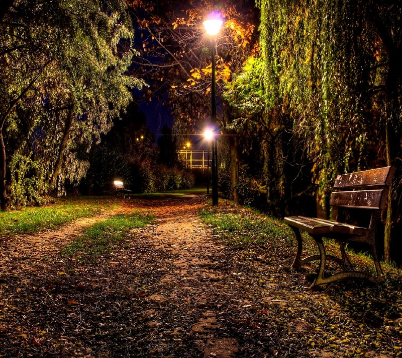 Eine bank steht auf einem weg mitten im park (nacht)