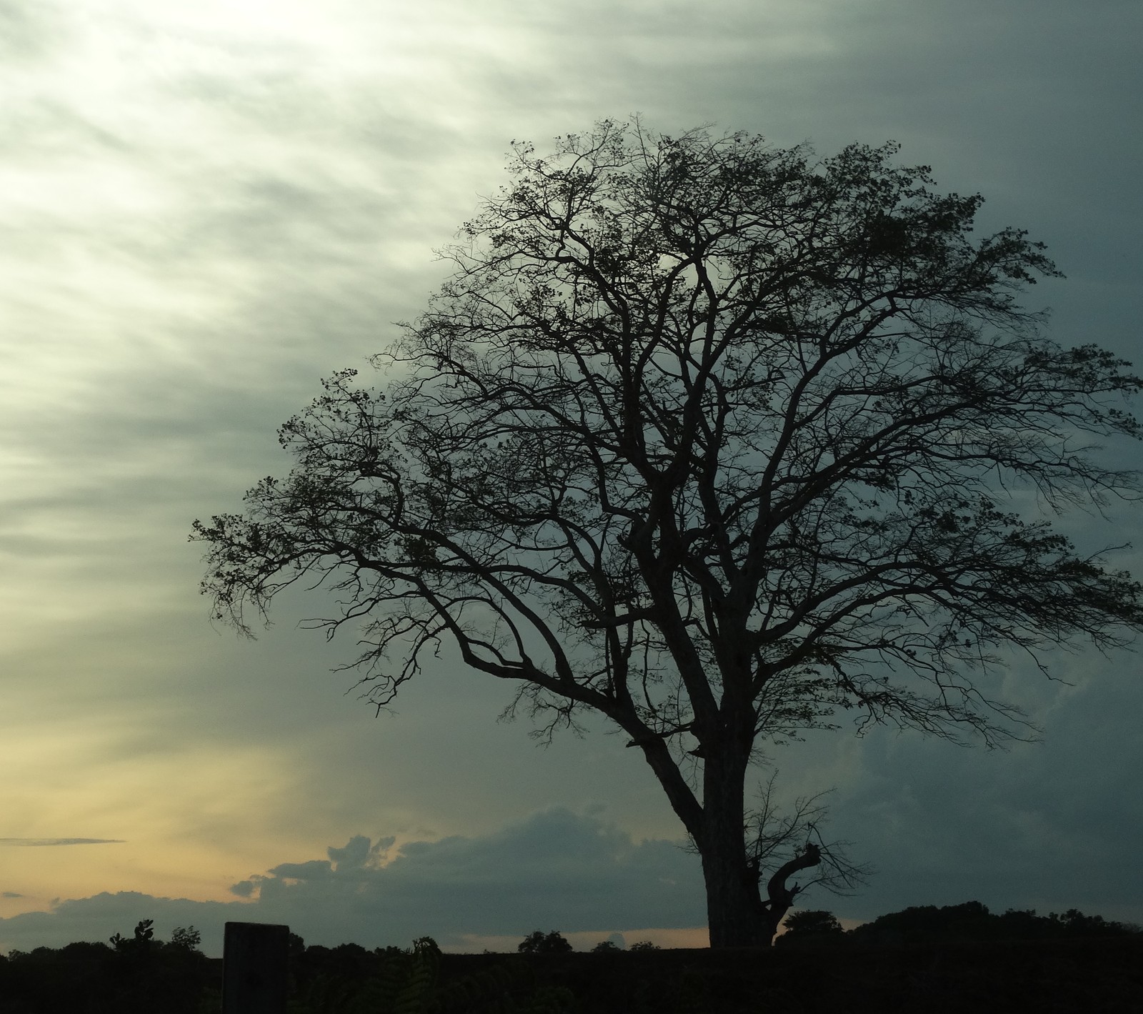 Lade dunkler himmel, trübe, hd, verblüffend, himmel Hintergrund herunter