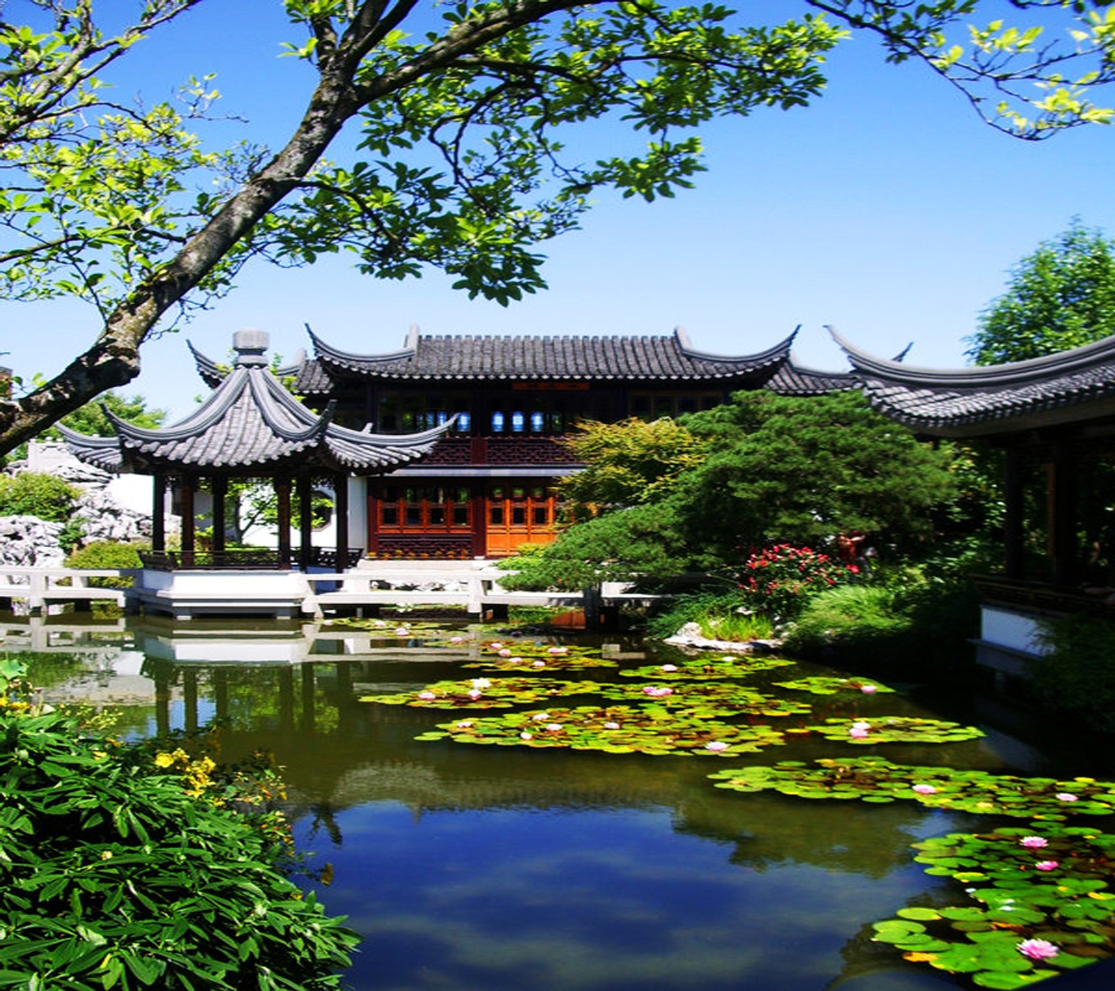 Une vue aérienne d'un étang avec des nénuphars et une pagode en arrière-plan (beau, chinois, jardin, landscap, nature)