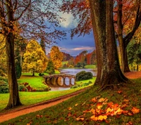 erstaunlich, herbst, blätter, natur, park