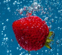 abej, beograd, love, strawberry wallpaper