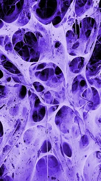 complex, neurons wallpaper