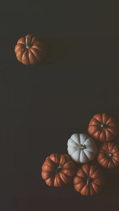 Autumn Harvest: A Collection of Pumpkins and Gourds