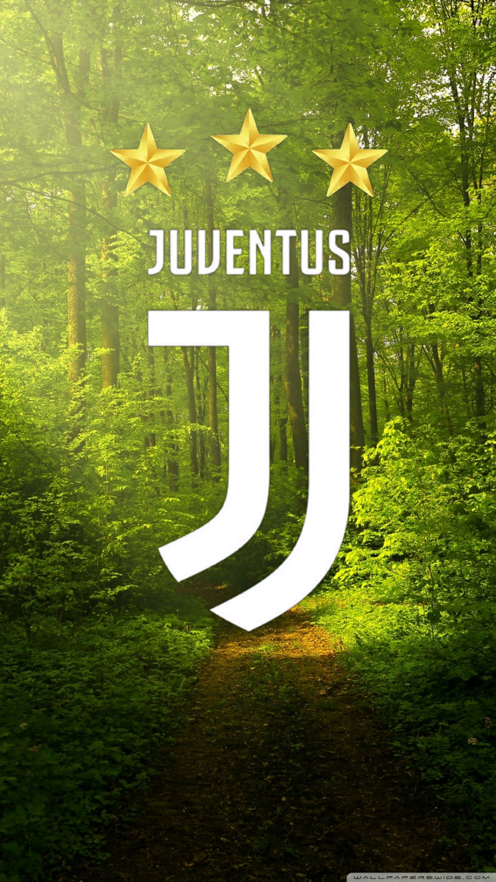 Download forest, juventus, wallpaper for free