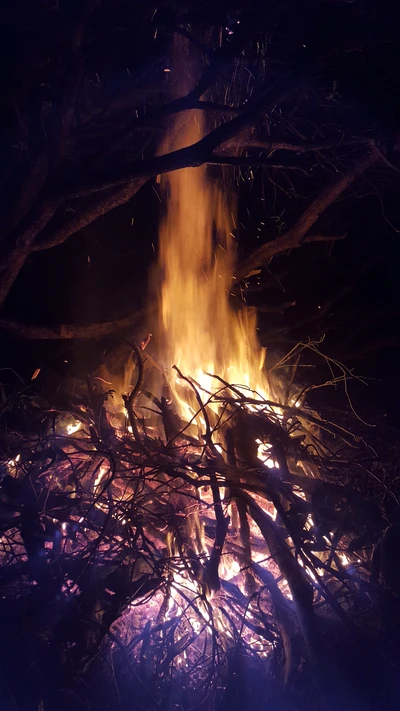 Feu de joie vibrant émettant des flammes lumineuses dans un environnement assombri