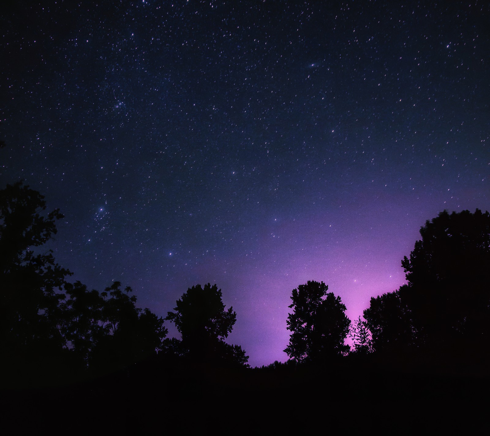 Una vista de un cielo púrpura y negro con estrellas y árboles (4k, astronomía, aurora, oscuro, noche)