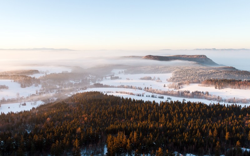 Взгляд на гору с долиной и лесом на переднем плане (stolowe mountains national park, туманный, туман, пейзаж, зима)