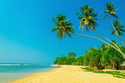 Uma praia tropical pitoresca com areia dourada, palmeiras balançando e um céu azul vibrante, cercada por vegetação exuberante e o mar sereno.