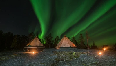 aurora, green, night, landscape, lighting