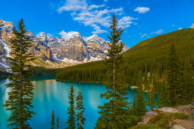 Вид на озеро, окруженное деревьями и горами (банф, banff, озеро морейн, долина десяти вершин, национальный парк)