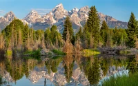 Majestätische Grand-Teton-Spitzen spiegeln sich in ruhigen Gewässern