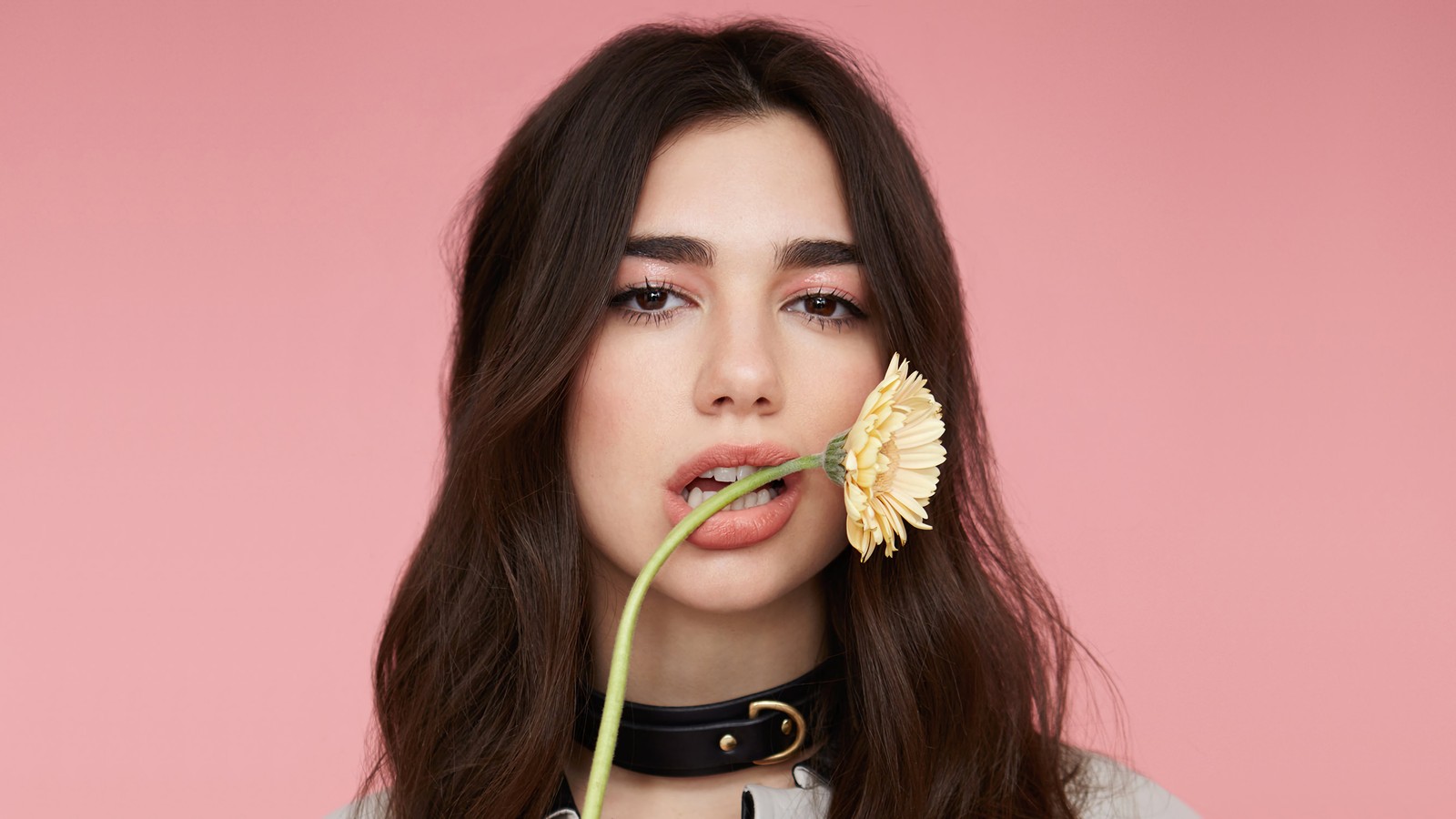 Arafed woman with a flower in her mouth and a collar around her neck (dua lipa, beautiful, singer, celebrity, girls)