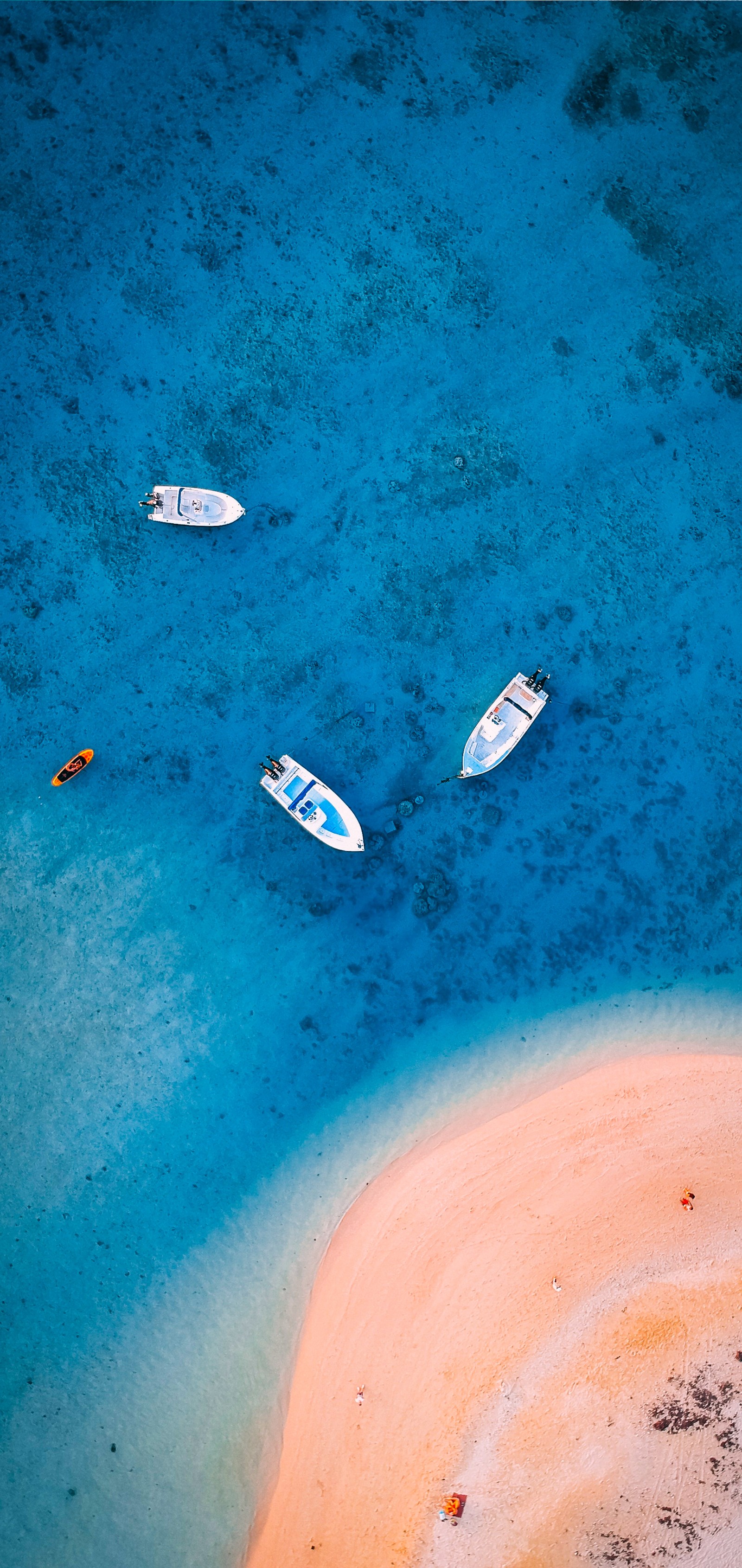 Várias barcos na água perto de uma praia de areia (água, parede, capuz, natureza, corpo de água)