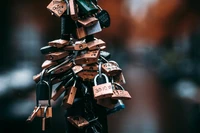 Colorful Padlocks Affixed to a Post in Amsterdam