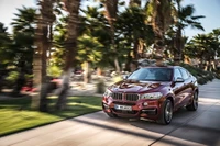 Dynamique BMW X6 sur une route pittoresque bordée de palmiers