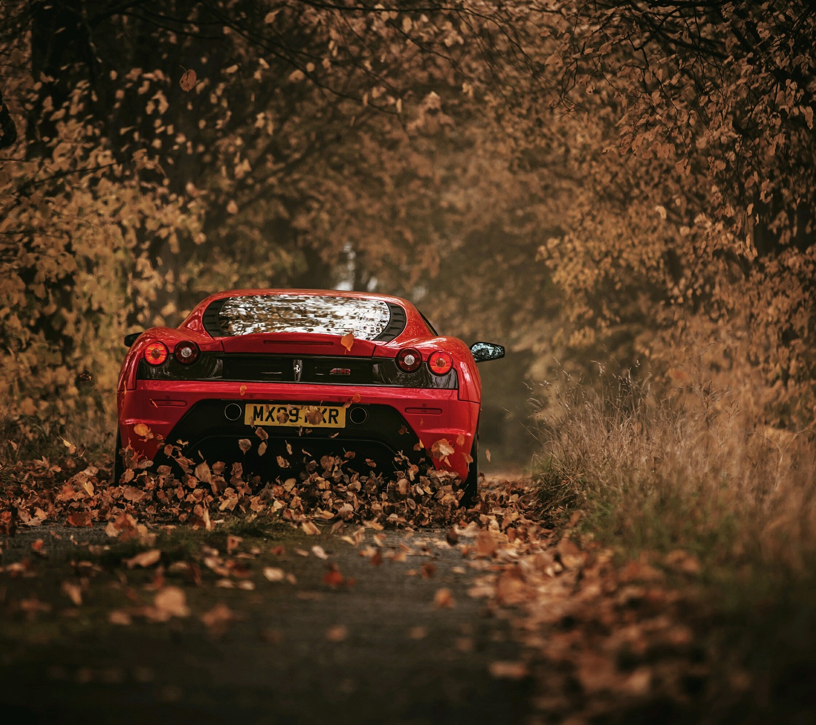 Um carro esportivo vermelho dirigindo por uma estrada cercada de folhas (carro, carros, engraçado)