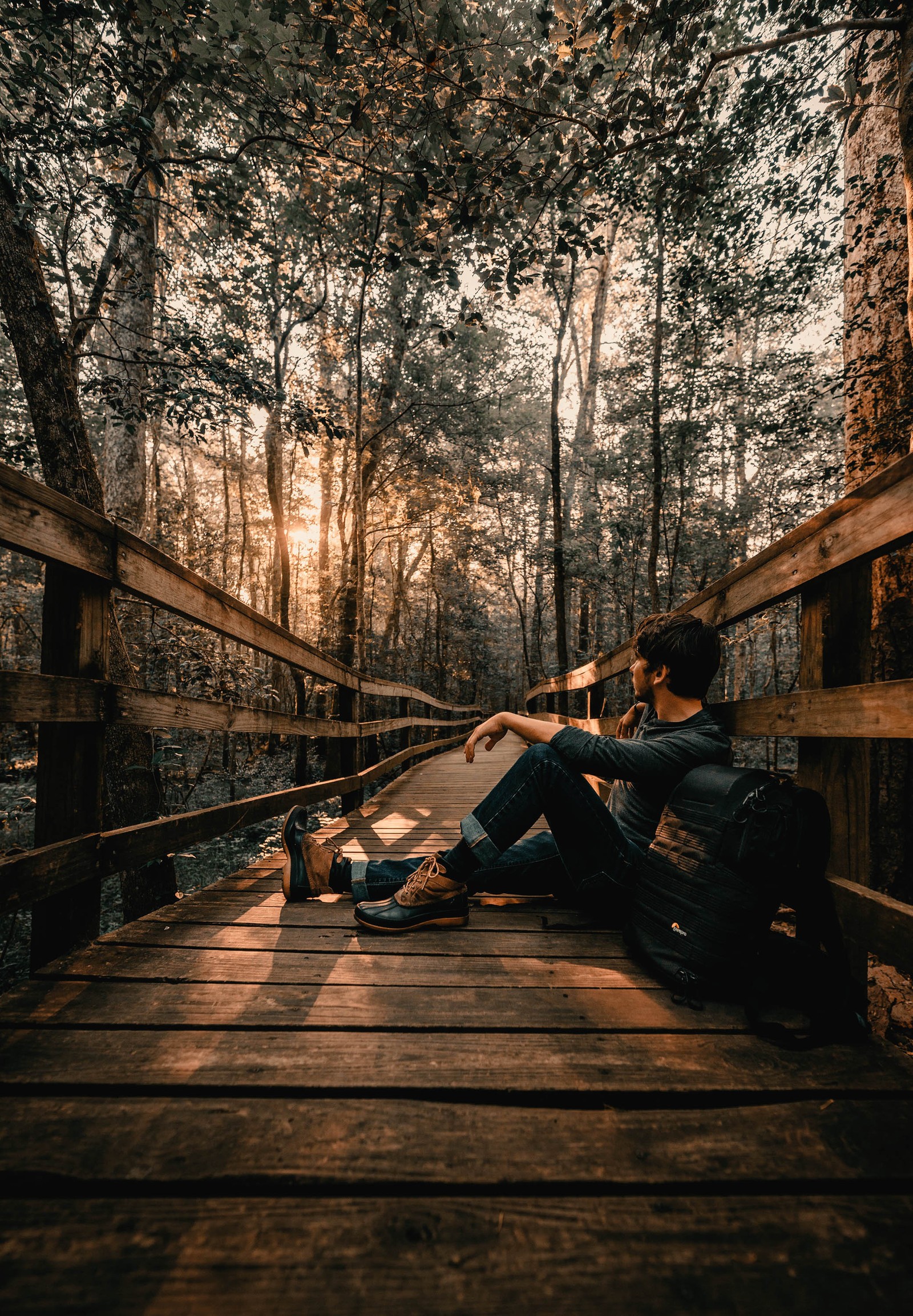 Una jirafa sentada en un puente de madera en el bosque con una mochila (imágenes de otoño, puente, paisajes)