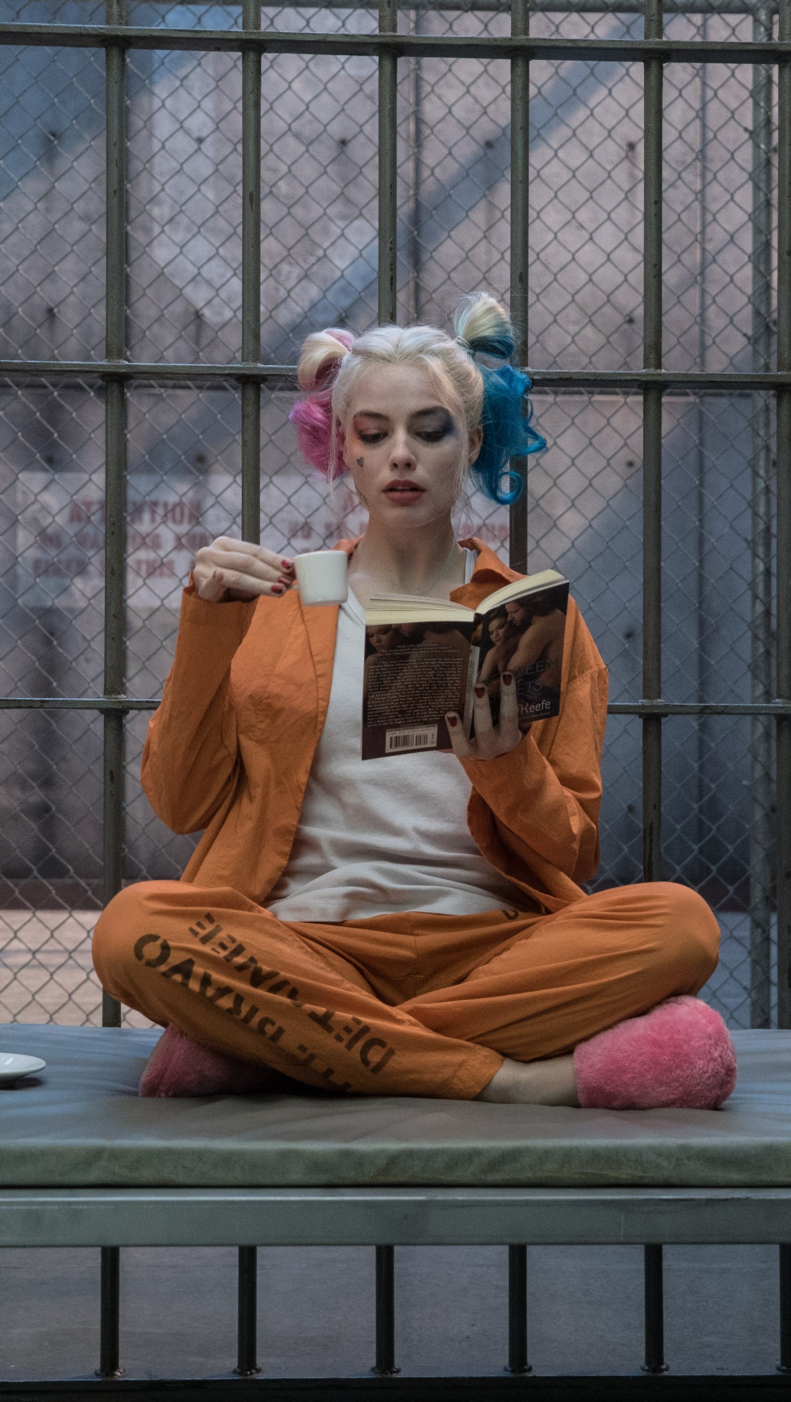 Téléchargez le fond d'écran cosplay, folle, harley quinn, hd, prison