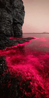 paysage, mer rouge