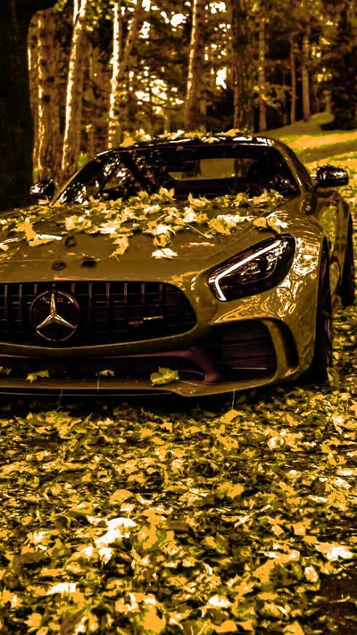 Superbe Mercedes dorée avec des feuilles d'automne