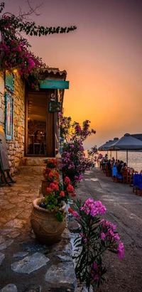 Sérénité du coucher de soleil : un chemin côtier orné de fleurs vibrantes