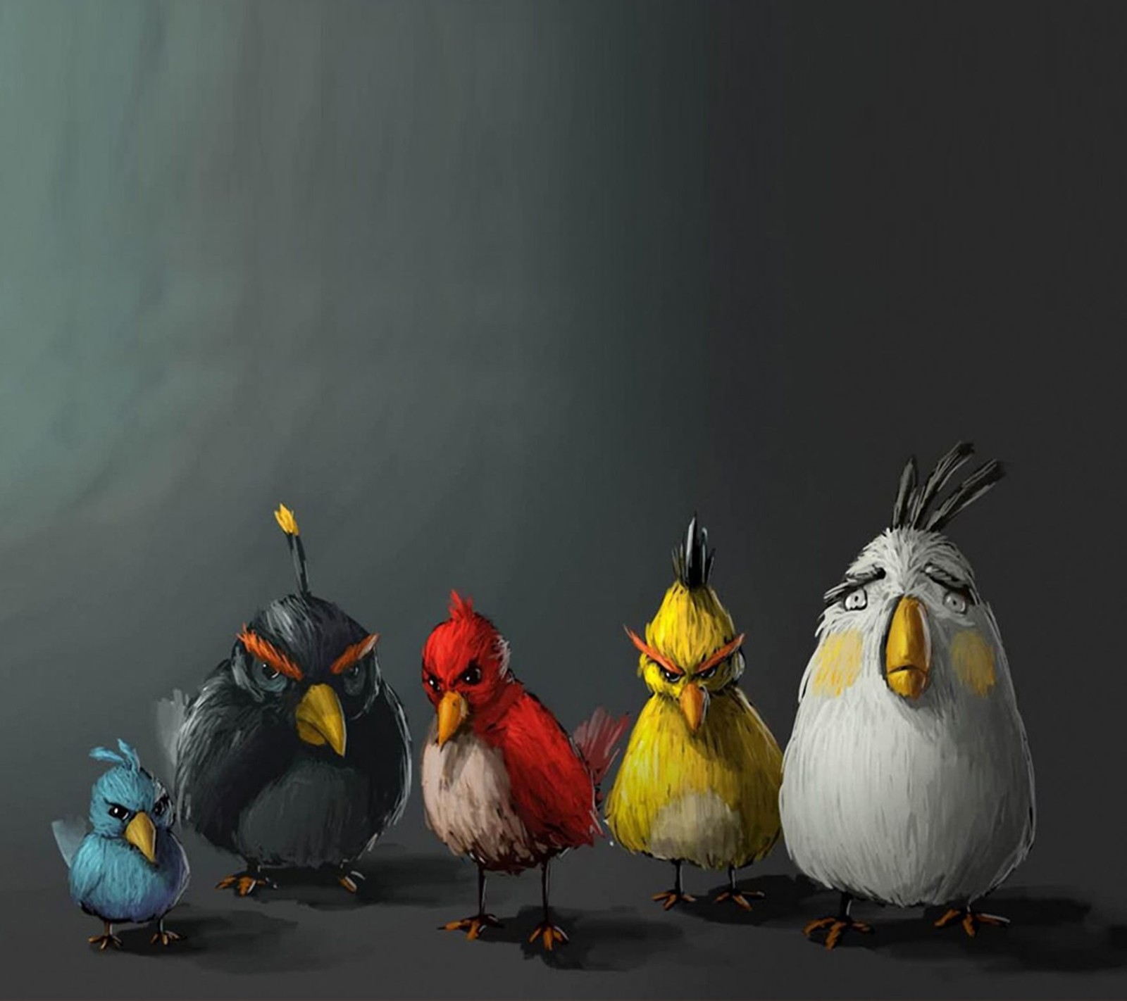 Descargar fondo de pantalla enojado, angry birds, ave, aves, divertido