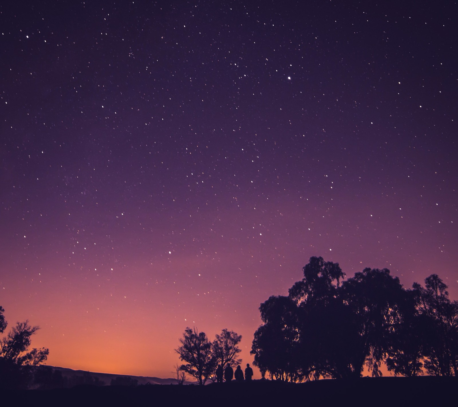 Night sky with stars and trees in the foreground (new, nice, purple sky, stars, sunset)