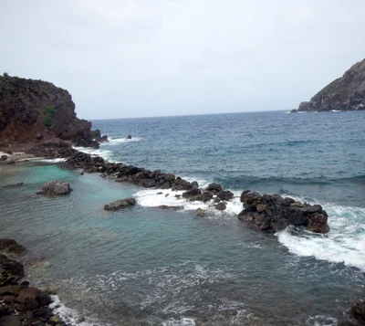 isla, océano, saba, tide pool