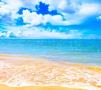 strand, landschaft, ozean, sonnenuntergang