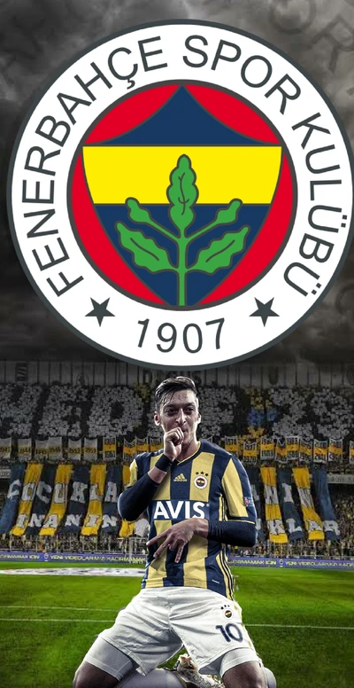 fenerbahce, futbol, logo, mesut, ozil