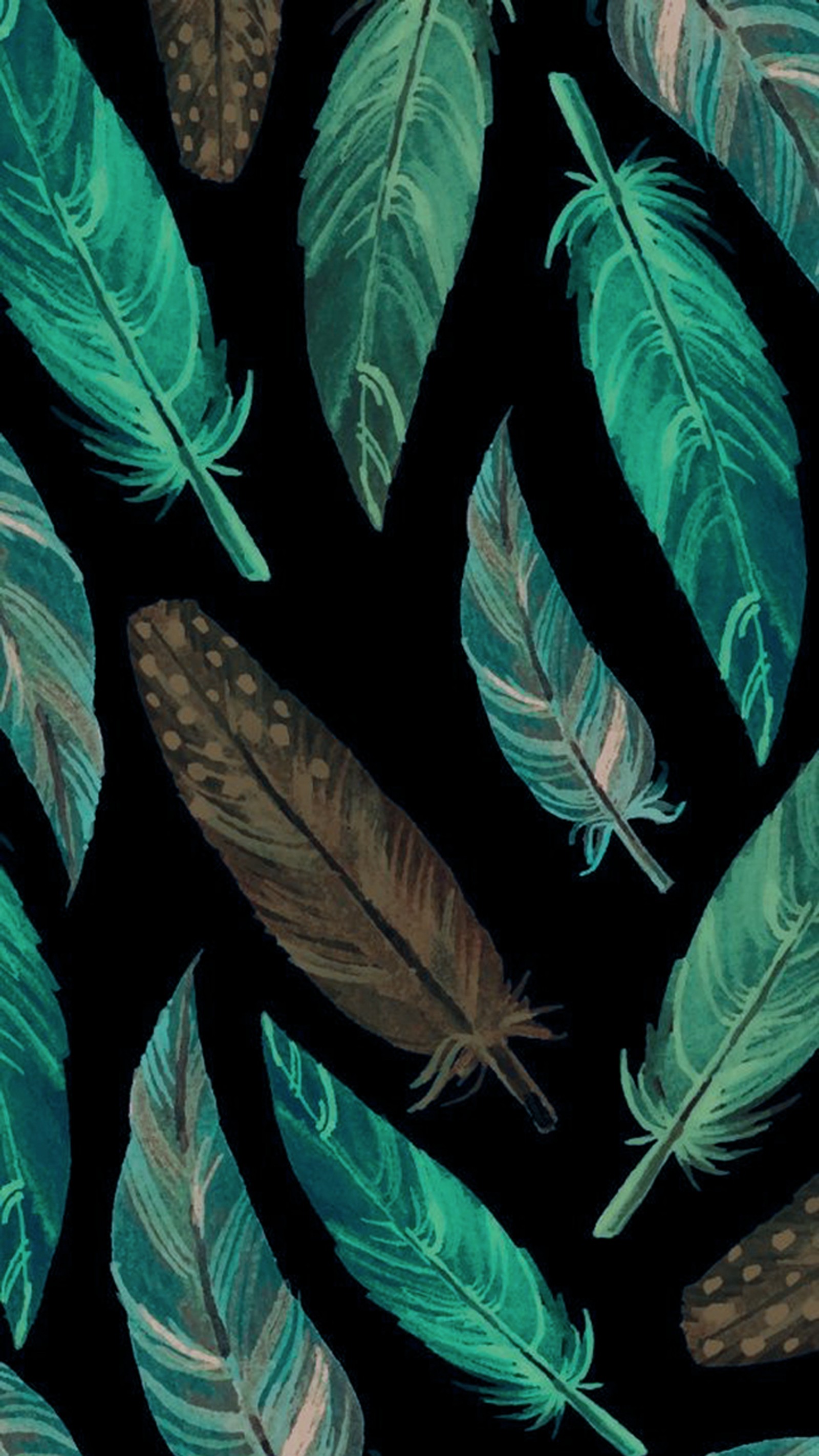 A close up of a bunch of feathers on a black background (black, feather, green)