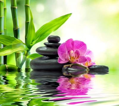 Zen Serenity: Bamboo, Stones, and Orchids in Tranquil Reflection