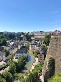 quartier, paysage, arbre, zone résidentielle, banlieue