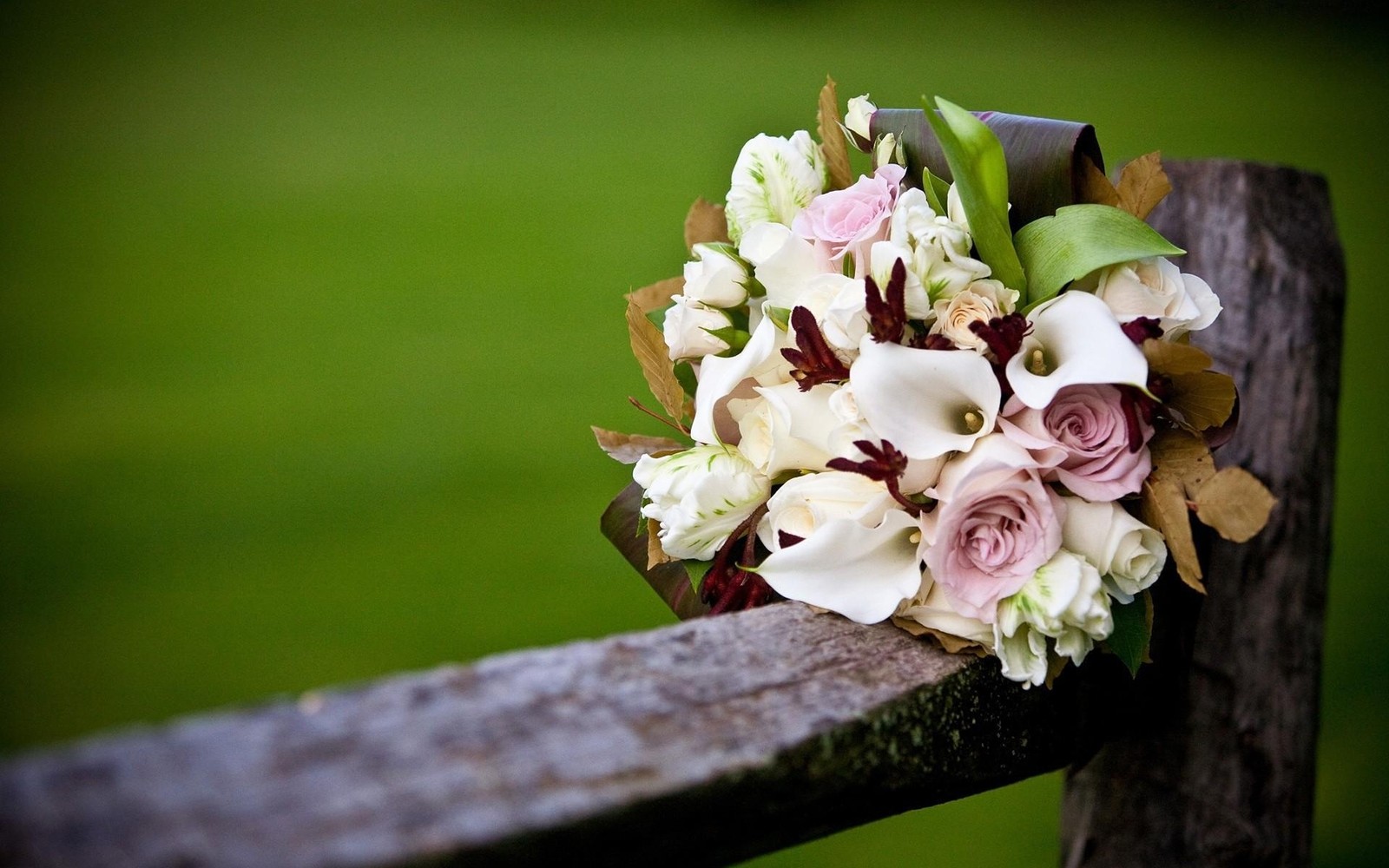 Il y a un bouquet de fleurs posé sur un banc en bois (bouquet de fleurs, pétale, plante, arrangement floral, printemps)