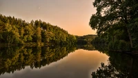 reflection, nature, water, tree, river