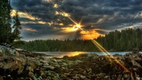 nature, eau, matin, lac, forêt