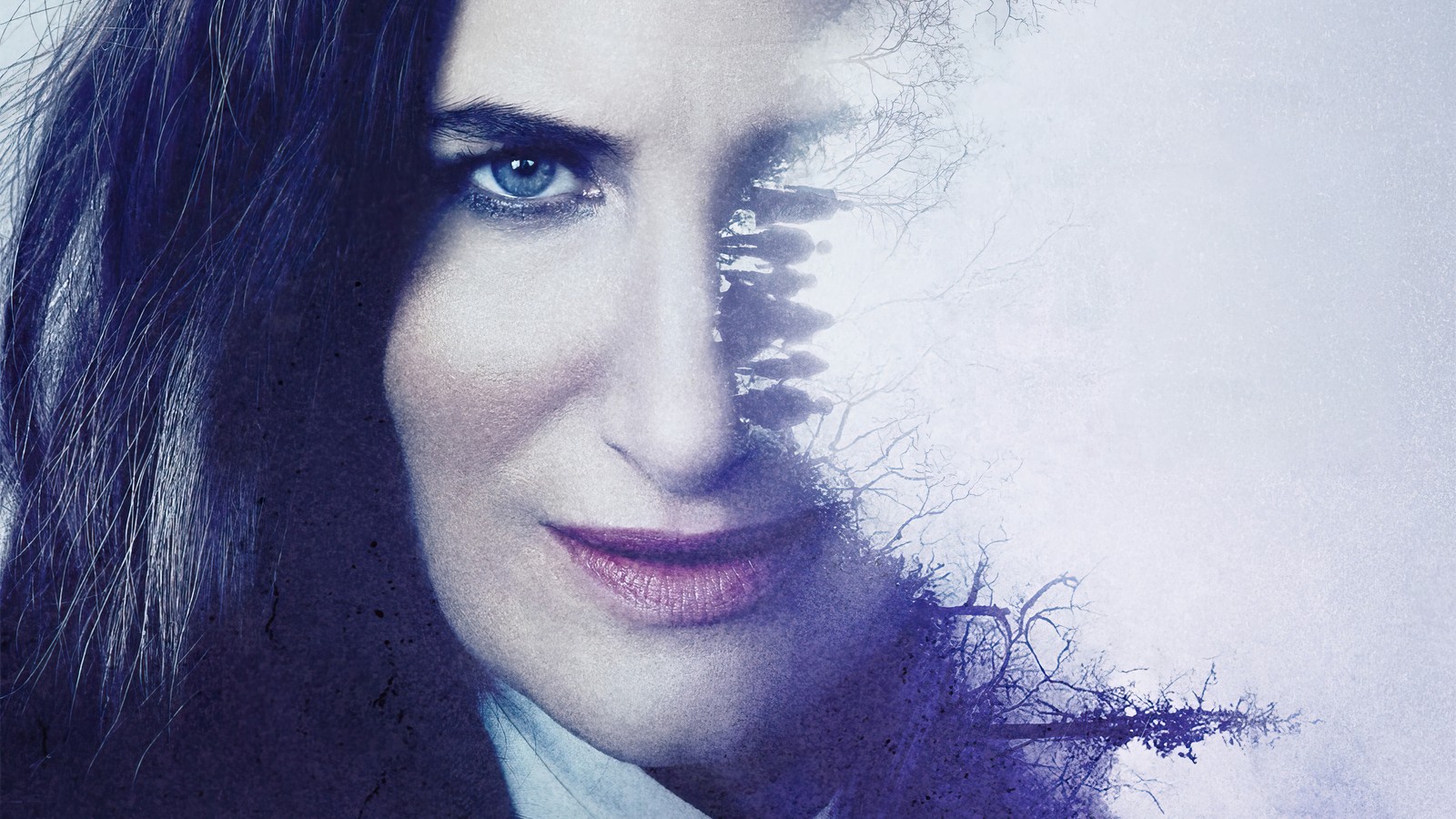 There is a woman with long hair and a tie on (agatha all along, tv series, poster)