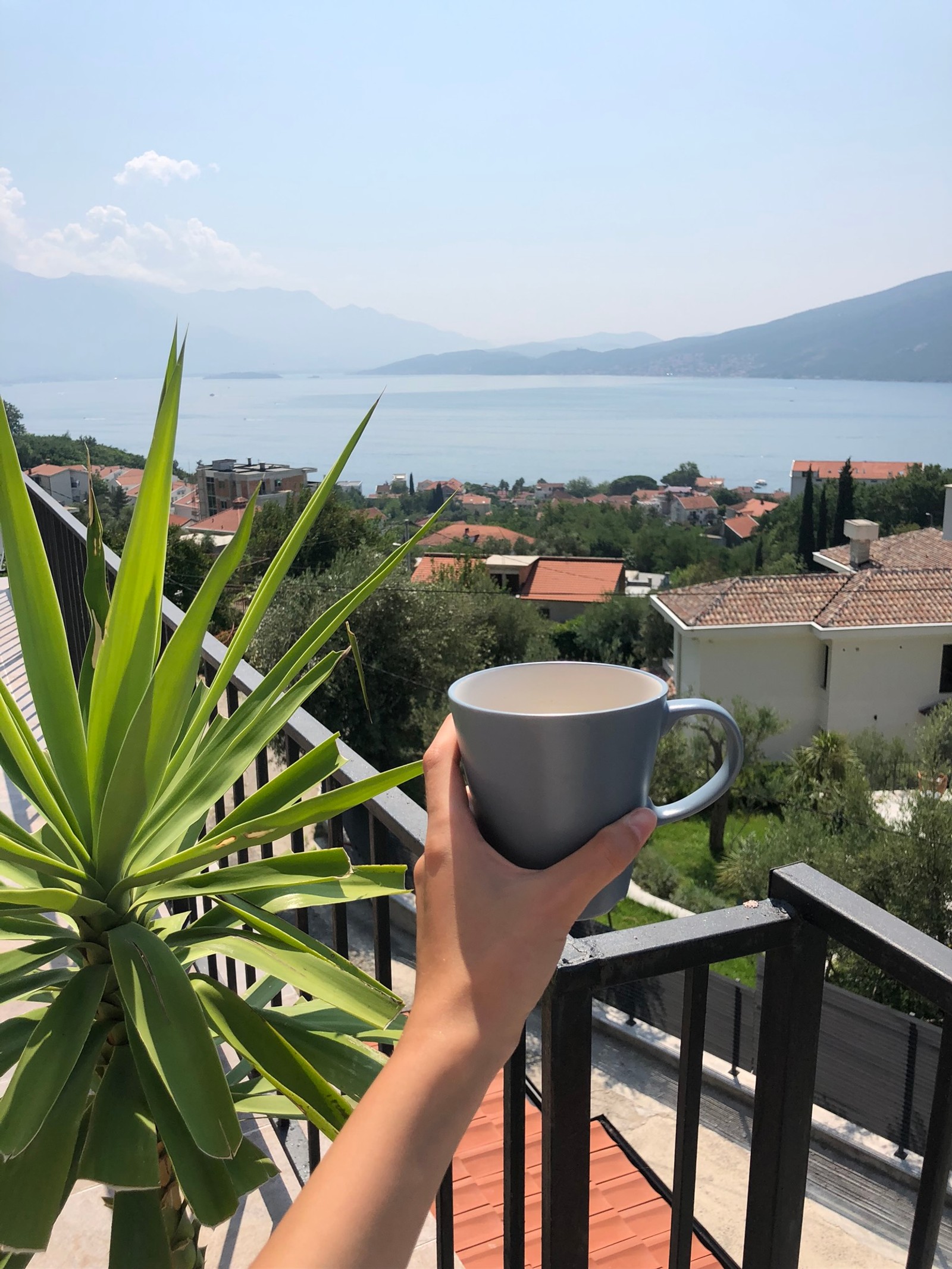 Alguém segurando uma xícara de café em uma varanda com vista para a cidade (férias, palmeiras, plantas, ciência, biologia)