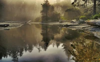 Brouillard du matin sur une berge de rivière tranquille reflétant des arbres