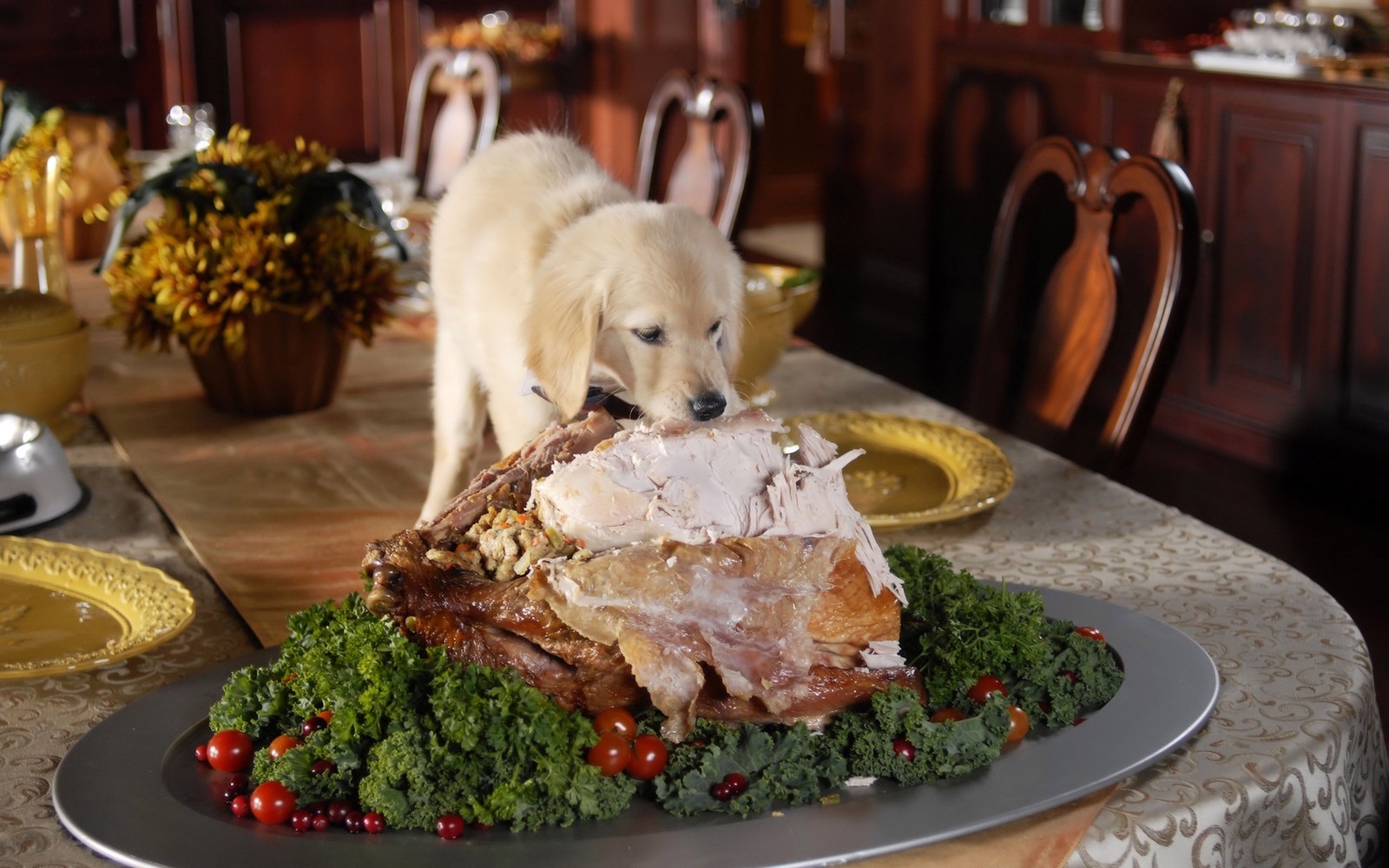 Há um cachorro em pé em uma mesa com um grande pedaço de carne (filhote, comida, receita, brunch, natal)