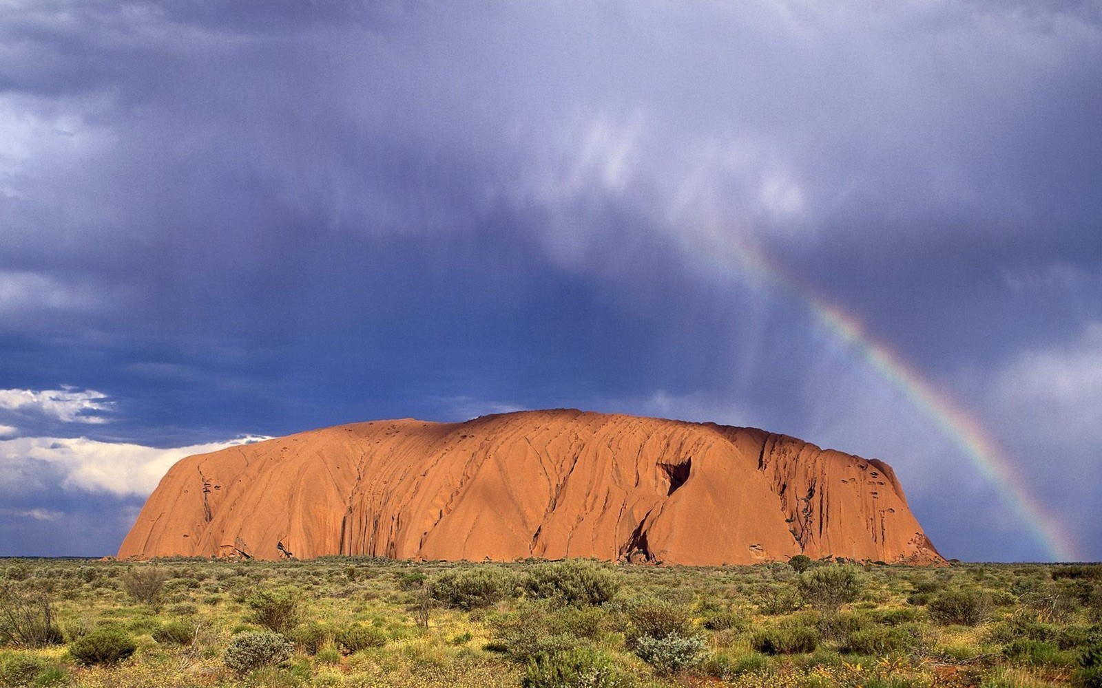 Жирафы в пустыне с радугой на небе (улуру, uluru, парк, национальный парк, радуга)