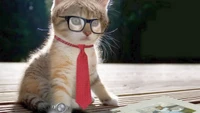 Gatito caprichoso con gafas y corbata con un reloj, posando encantadoramente.