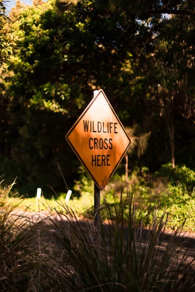 Señal de cruce de vida silvestre en paisaje natural