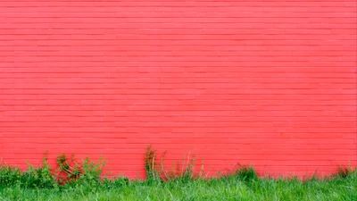 wall, brick, plant, ecoregion, paint